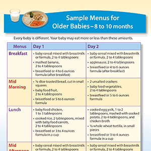 Sample Menus For Older Babies