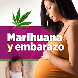 Marihuana y embarazo